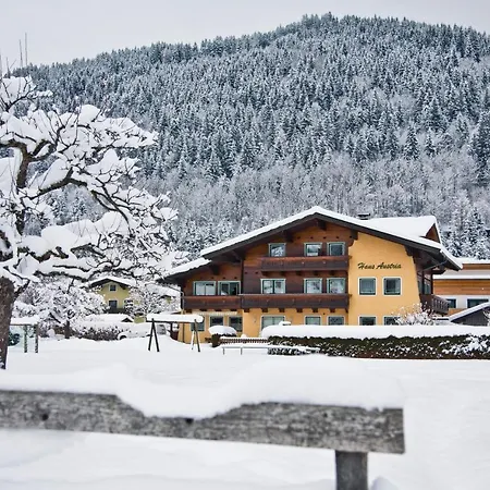 Lejlighed Haus Austria Flachau